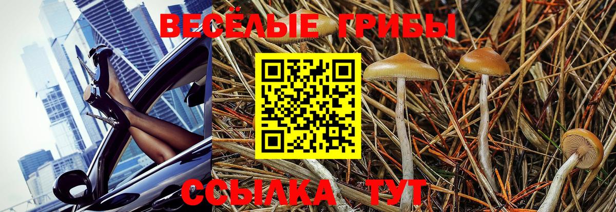 Галлюциногенные грибы GOLDEN TEACHER Липецк