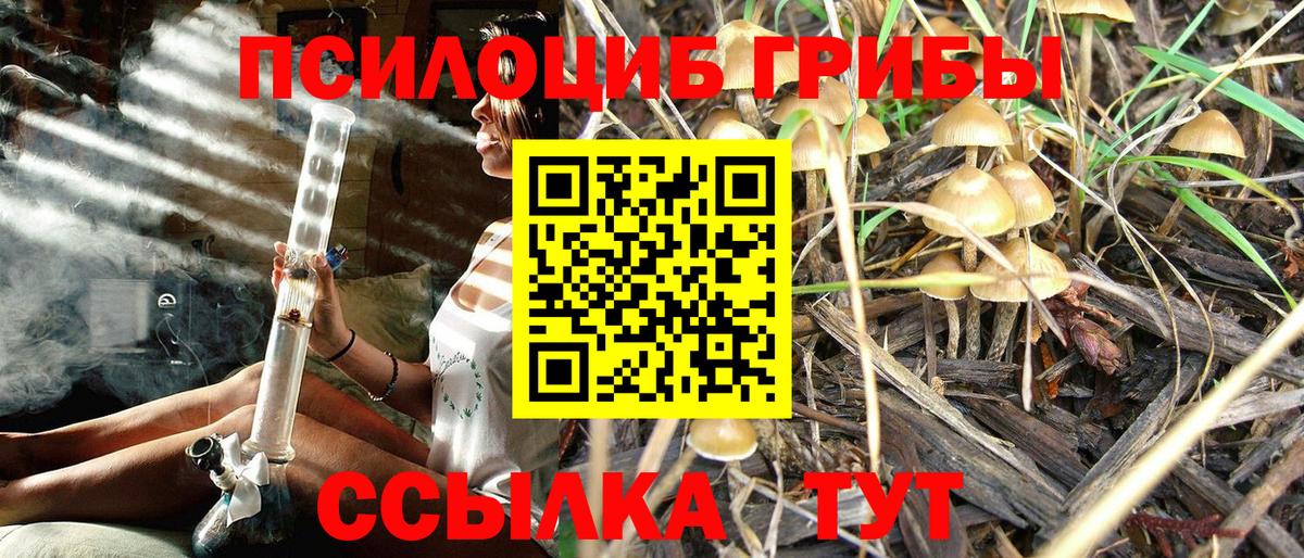 Галлюциногенные грибы Psilocybine cubensis  Вход с VPN  Галлюциногенные грибы Psilocybe  Липецк 