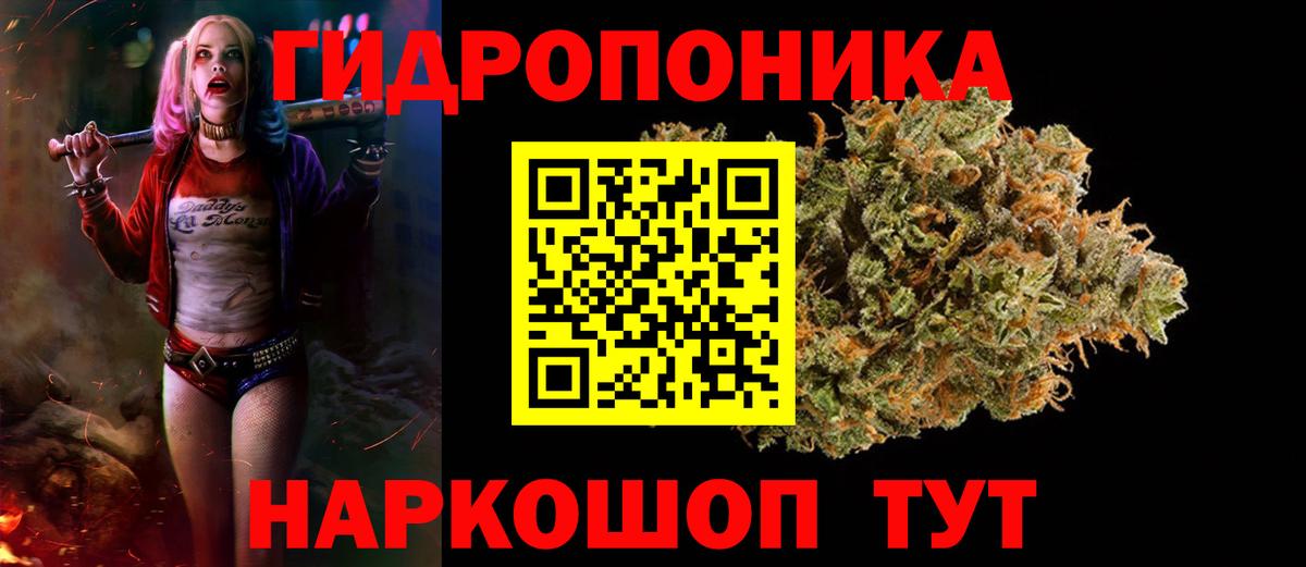 Бошки марихуана сатива Липецк